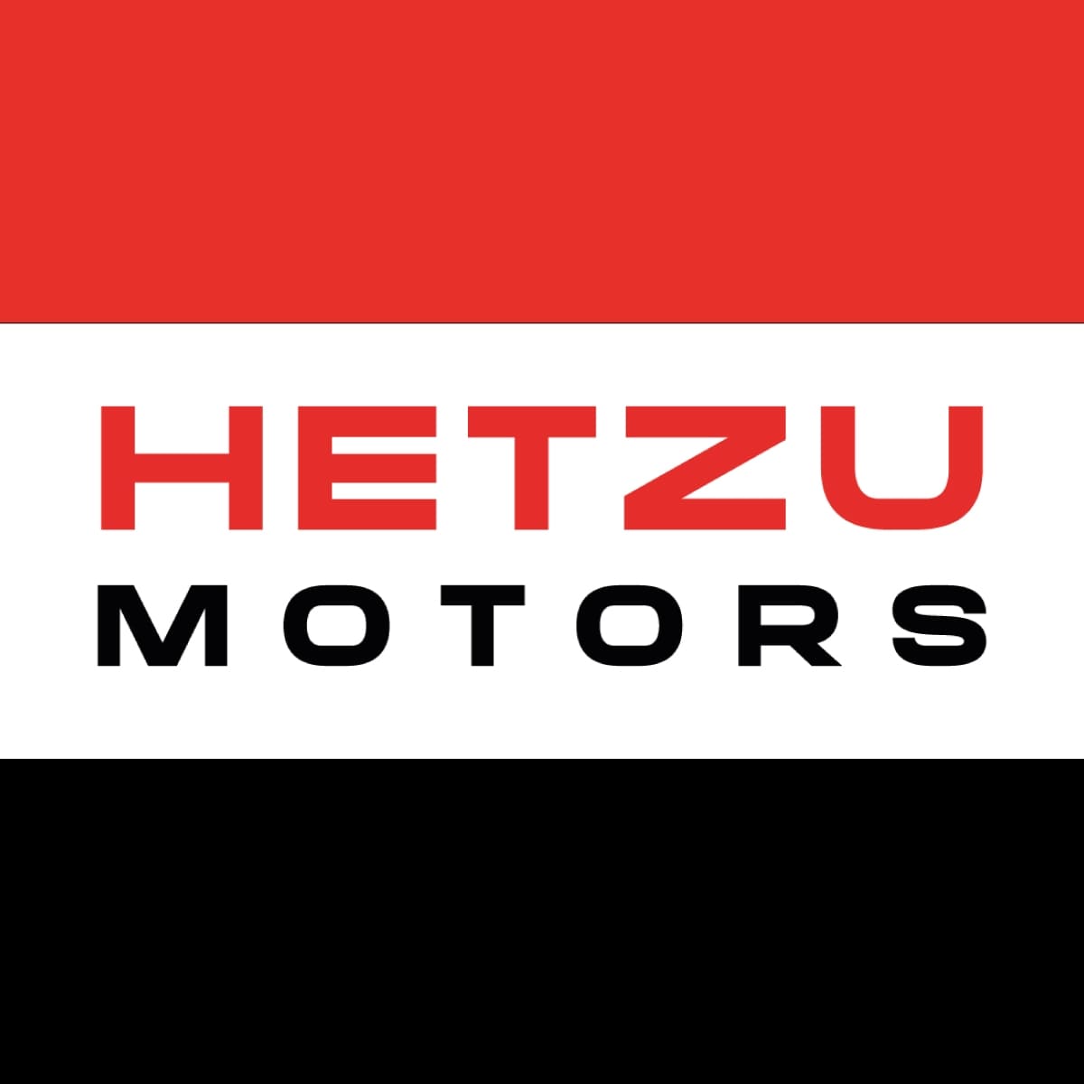 logo hetzu